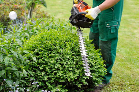 Leicester Gardening Services