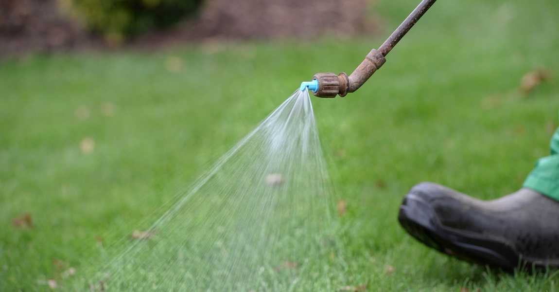 Leicester Lawn Treatment