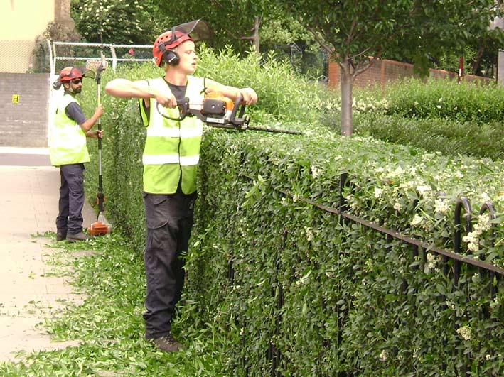 Hedge Cutting In Leicestershire