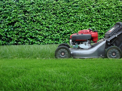 grass cutting lawnmower