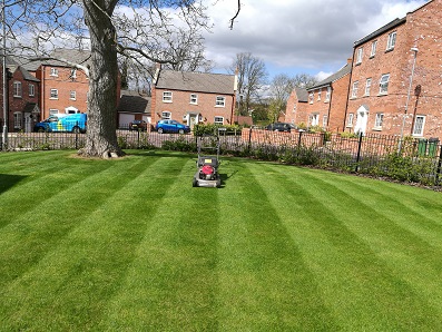 Lambert Smith Hampton Grounds Maintenance