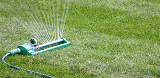 Irrigate Lawn