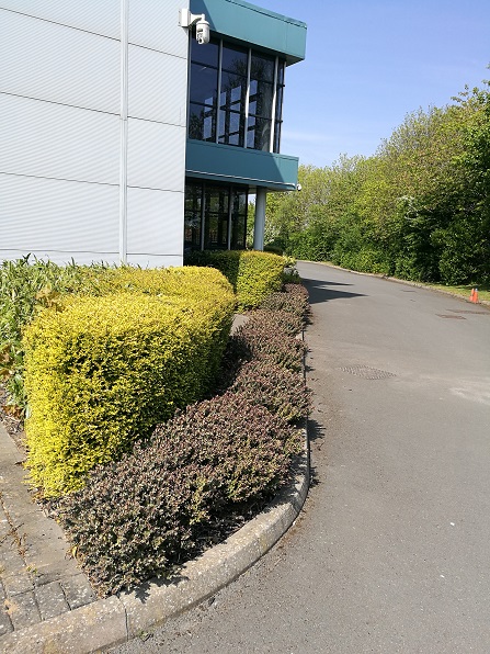 leicester office and industrial grounds maintenance