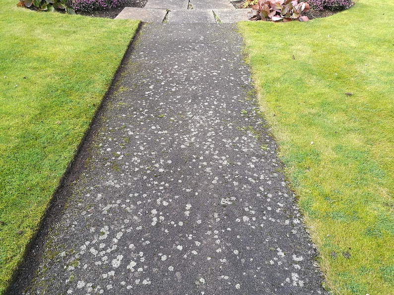 garden lawn edging