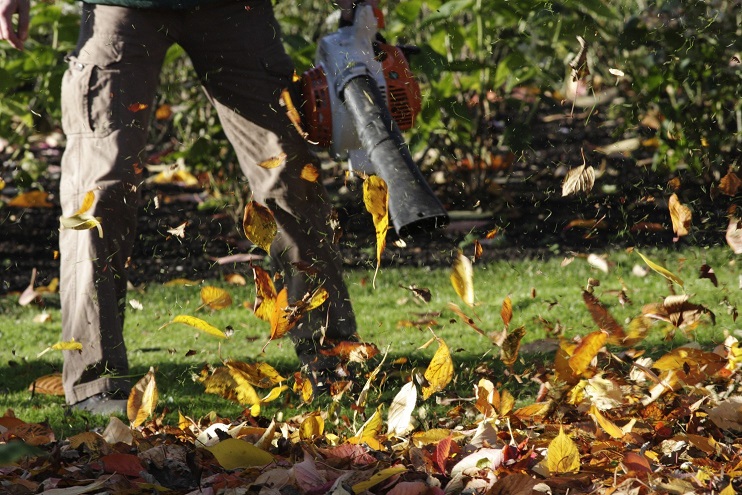 autumn leaf clearance in 2018